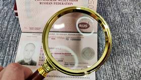 Что можно узнать по номеру паспорта в Новэкс