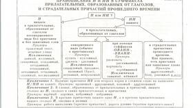 Что такое приставка в русском языке: объяснение для 2 класса в Новэкс