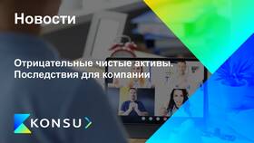 Что входит в чистые активы ООО в Новэкс