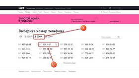 Домашний интернет в тарифе Tele2: что это