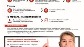 Как добавить СНИЛС в личный кабинет на mos.ru в Новэкс