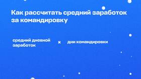 Как начисляется заработная плата в командировке в Новэкс