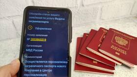 Как найти информацию о паспорте на Госуслугах в Новэкс