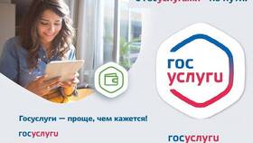 Как оформить адресную помощь через Госуслуги в Новэкс