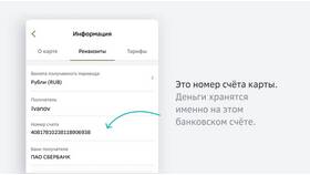 Как оплатить по расчетному счету через Сбербанк в Новэкс