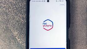 Как подать заявление на развод через Госуслуги в Новэкс