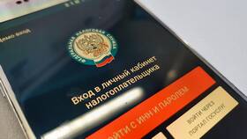 Как получить ИНН при утере в Новэкс