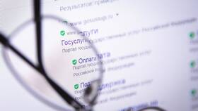 Как получить справку о доходах через Госуслуги в Новэкс