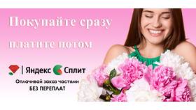 Как пополнить Яндекс Сплит без комиссии в Новэкс