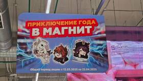 Как проверить бонусы Магнит в Новэкс