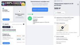 Как проверить и оплатить штрафы ГИБДД онлайн в Новэкс