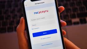 Как узнать общий трудовой стаж через Госуслуги в Новэкс