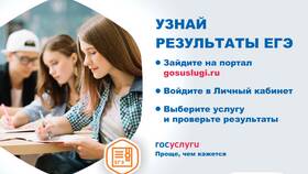 Как узнать результаты ЕГЭ через Госуслуги в Новэкс