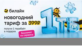Как узнать текущий тарифный план Билайн в Новэкс