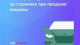 Как вернуть госпошлину ГИБДД, оплаченную через Госуслуги в Новэкс