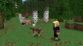 Как выдать валюту в Minecraft в Новэкс