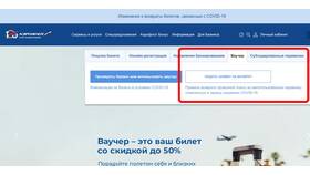 Как выглядит электронный билет Аэрофлота в Новэкс