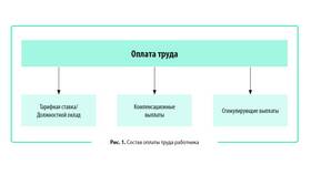 Как выплачивают отпускные и заработную плату в Новэкс