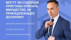 Как забрать имущество должника: пошаговая инструкция в Новэкс