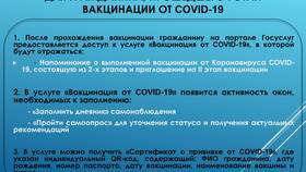 Как загрузить справку о COVID-19 на Госуслуги в Новэкс