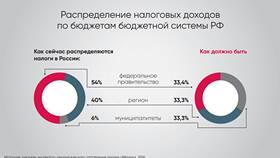 На что делятся расходы в Новэкс