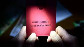Пенсионный коэффициент 46: что это означает в Новэкс