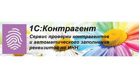 Почему ИНН не проходит проверку в Новэкс