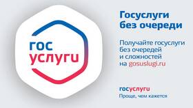 Почему портал Госуслуг имеет доступ к данным о доходах в Новэкс