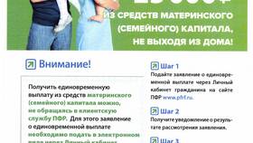 Выписка ПФР: что это значит? в Новэкс