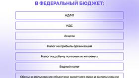 Зачем нужен сбор налогов в Новэкс