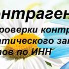 Почему ИНН не проходит проверку