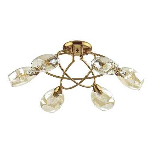 Потолочная люстра Lumion Orla 4483/6C в Новэкс