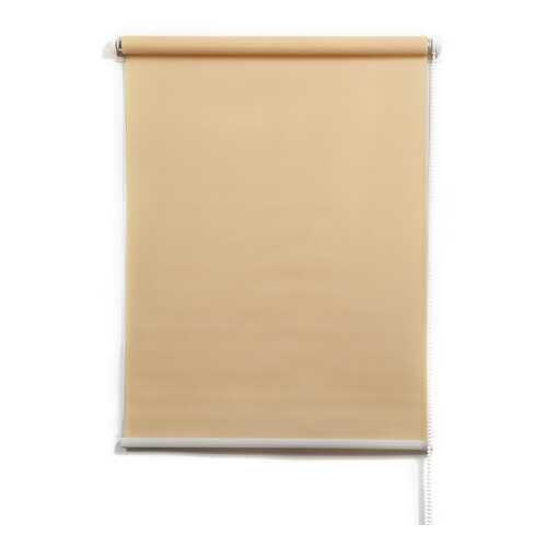 Рулонная штора Primedeco 3048007 170x48 см в Новэкс